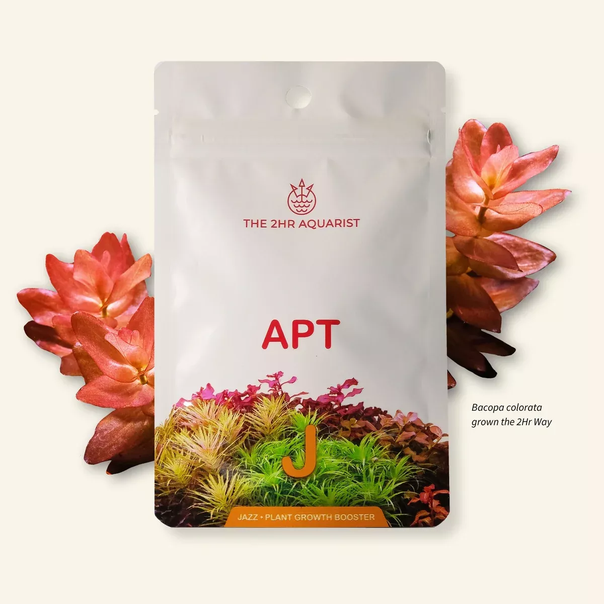 2Hr Aquarist APT Jazz