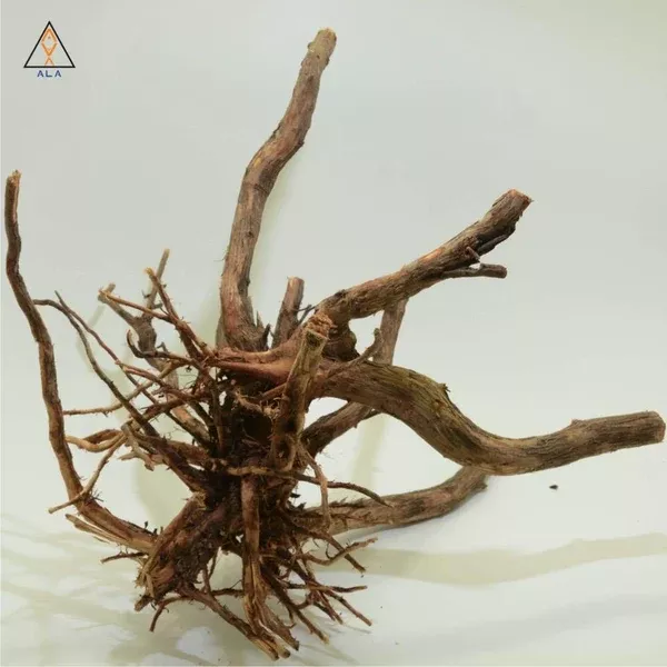 Alborz Wood – ALA