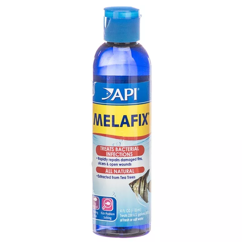API Mela Fix