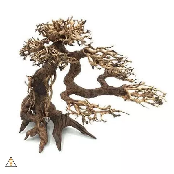 Bonsai Wood – ALA