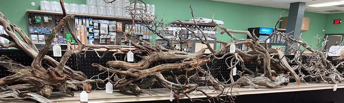 CALIFORNIA MANZANITA WOOD