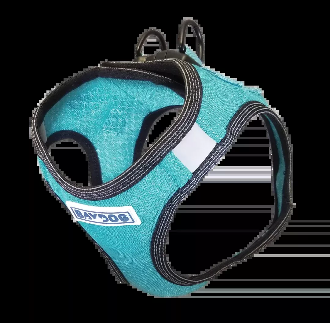 [Clearance 30%] Liberty Bay Dog Harness, Sea Foam *