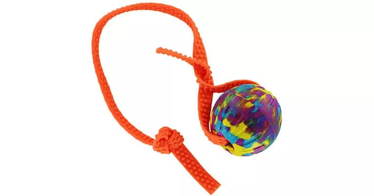 Color Splash EVA Foam Ball with Biothane Handle - Large