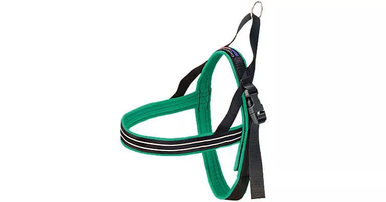 ComfortFlex Padded Sport Harness
