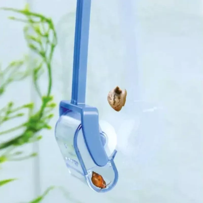 Dennerle Snail Catcher