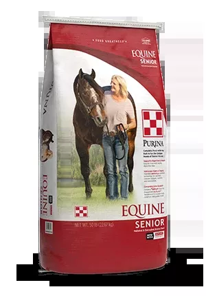 Equine Senior