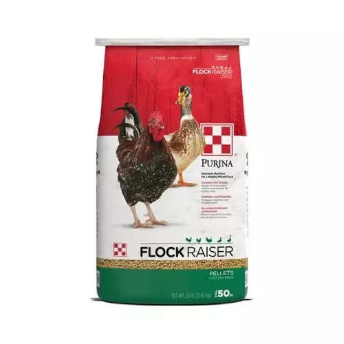 Flock Raiser – Pellets – 50lb