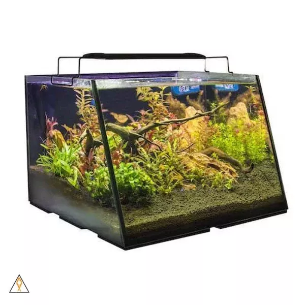 Full View Aquarium – Lifegard Aquatics