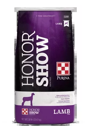Honor Show – ShowLamb Strech 17 Txt DX