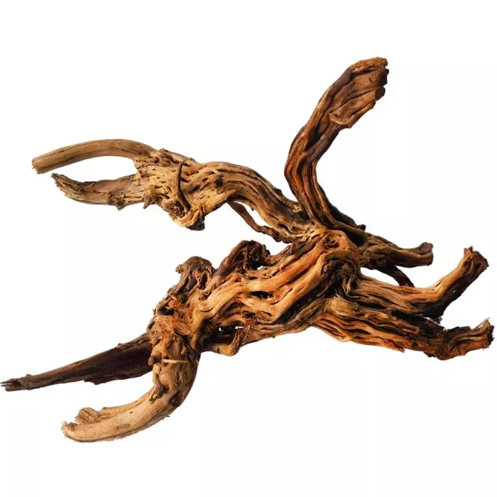 IceCap Premium Dragon Root Wood for Freshwater Aquariums & Terrariums (23