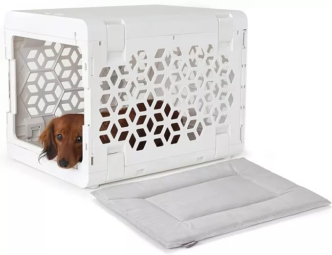 KindTail PAWD Collapsible Puppy and Dog Crate + Washable Bed – Stylish Pet Kennel with Comfortable Pad – Safe Indoor Set – Lightweight, Compact & Portable for Travel – Small White