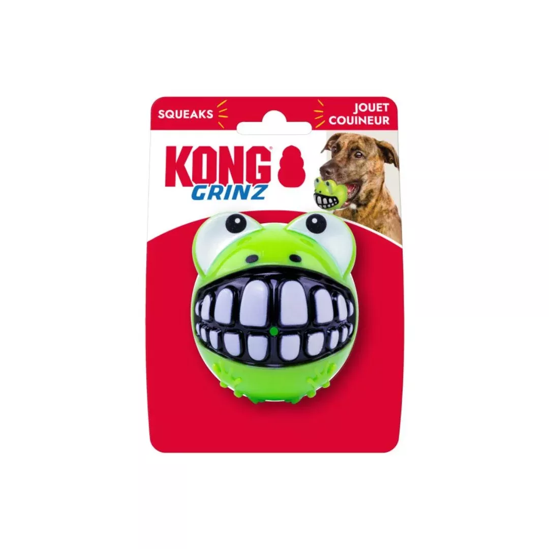 KONG Grinz Frog Dog Toy Large