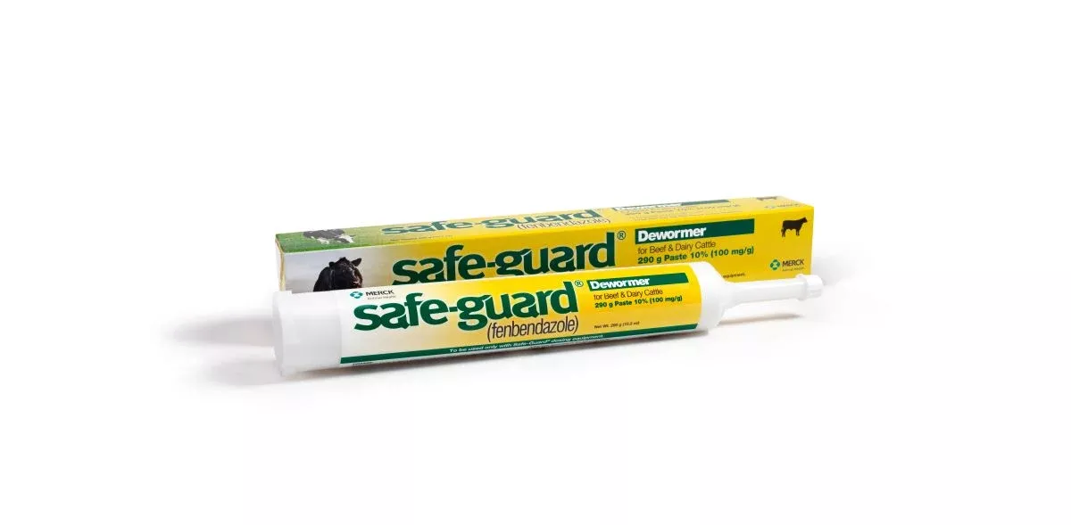 Merck SafeGuard Paste 10% – Dewormer for Cattle | Fenbendazole 290g