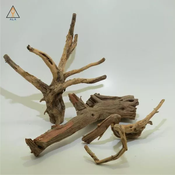 Neka Wood – ALA