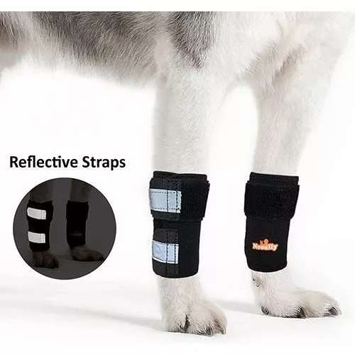 NeoAlly Dog Front Leg Braces: Enhance Safety with Reflective Straps (Pair)
