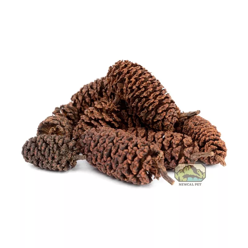 New-Cal Alder Cones 1oz (approx 50 cones)