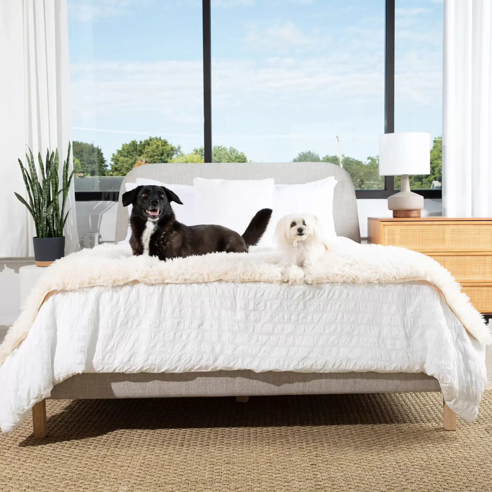 PupProtector™ Luxe Waterproof Bed Runner – Plush Sheep Ivory