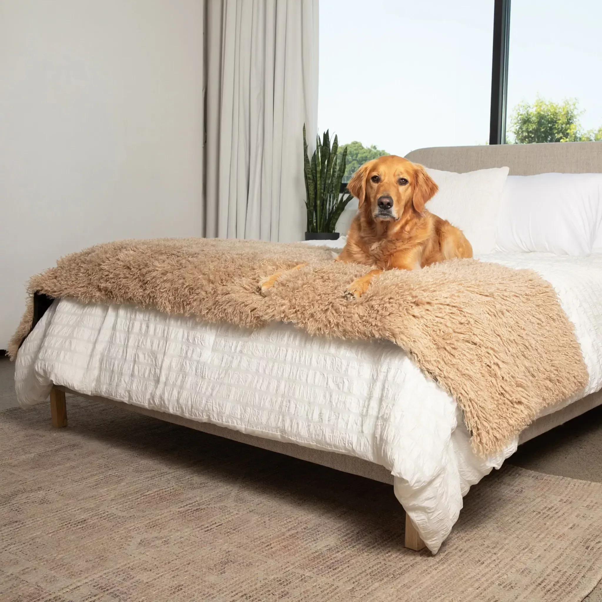 PupProtector™ Luxe Waterproof Bed Runner – Plush Sheep Tan