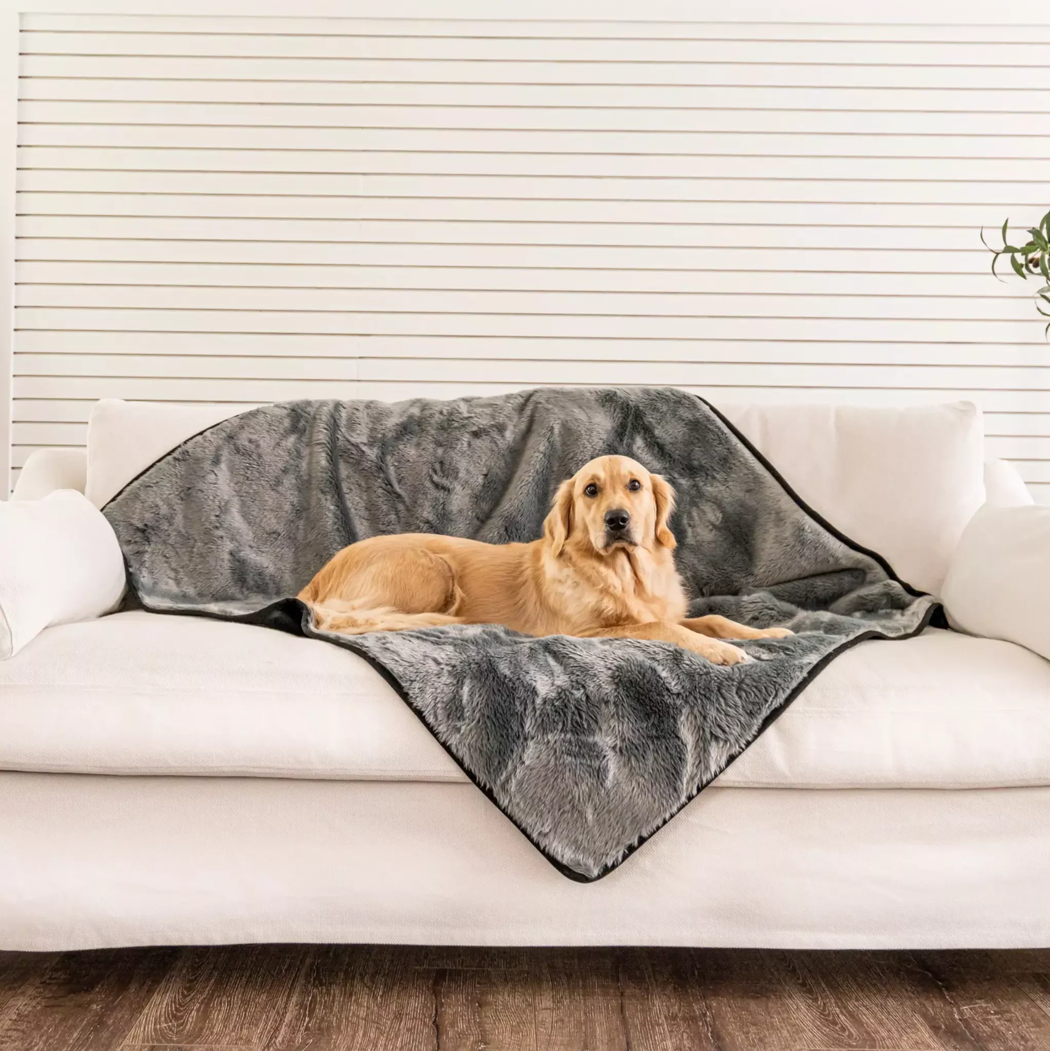 PupProtector™ Summer Short Fur Waterproof Throw Blanket – Charcoal Grey