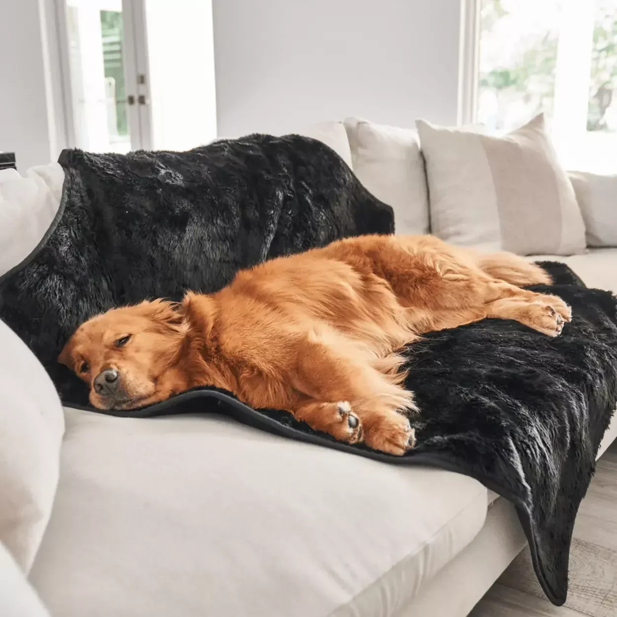 PupProtector™ Summer Short Fur Waterproof Throw Blanket – Midnight Black