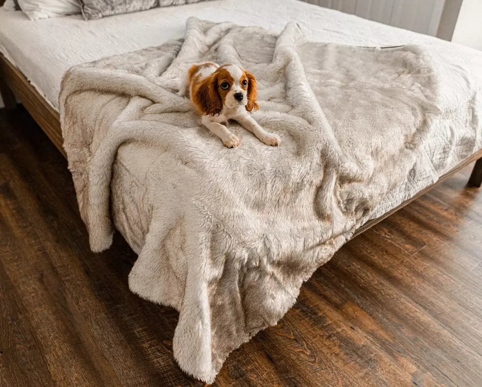 PupProtector™ Summer Short Fur Waterproof Throw Blanket – White with Brown Accents