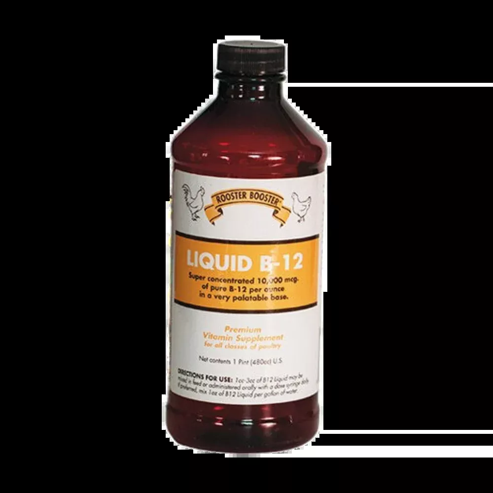 Rooster Booster Liquid B-12 | Poultry Vitamin Supplement | 16 oz