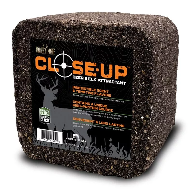 Trophy Image Block